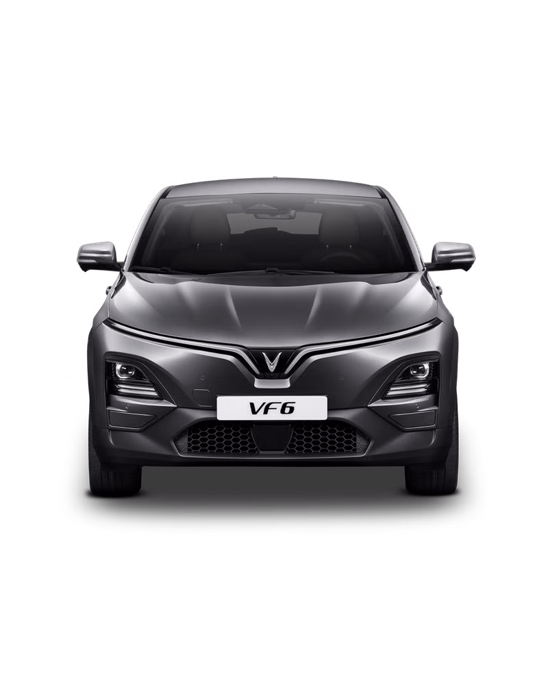 Vinfast VF6 - Photo 2